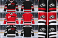 GGGGRRRRR Hockey- Jersey